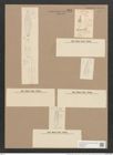 Navicula digitato-radiata var. cyprinus (W.Sm.) V.H. (de-Toni-Nr.: Genus 1, Species 124) Zeichnungen Sammlung Grunow Nr. 380 (NHMW-BOT-W0366678)